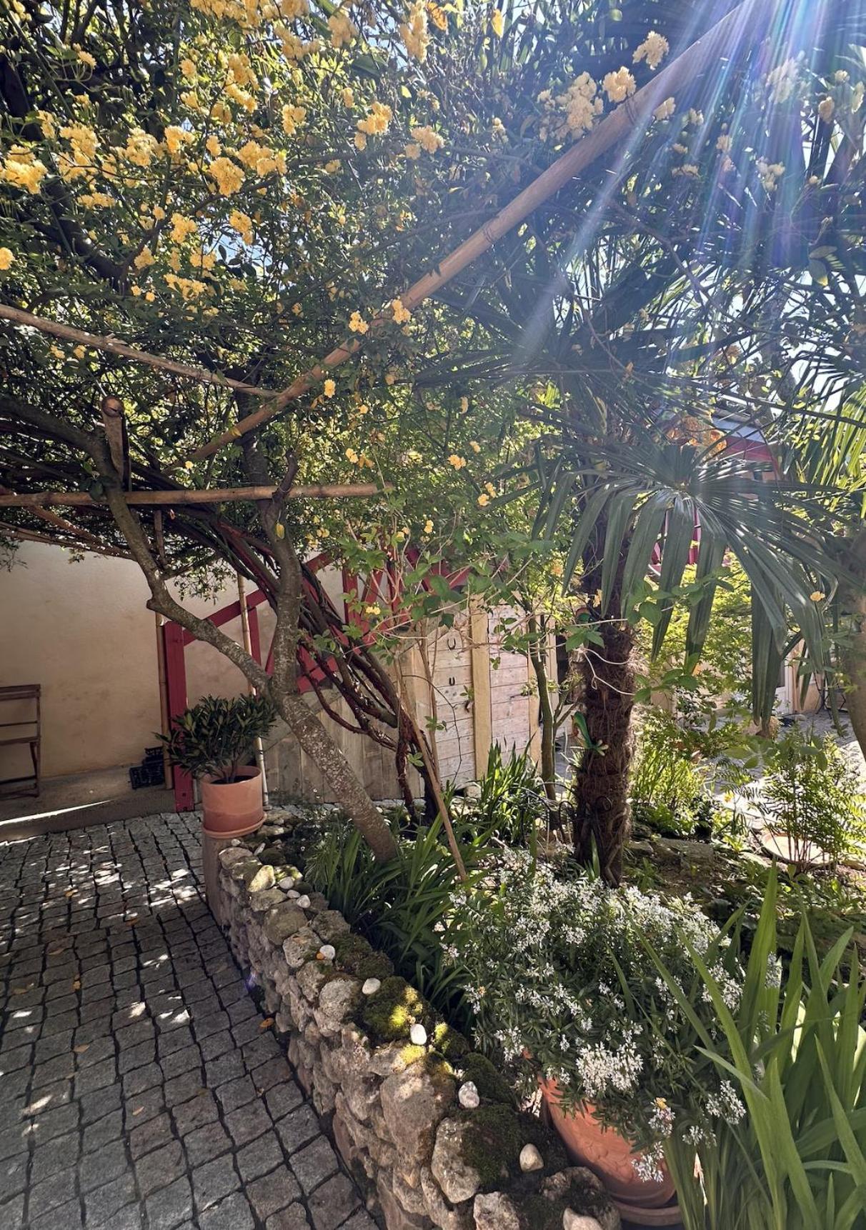 Le Patio Tursan Hotel Pimbo Kültér fotó